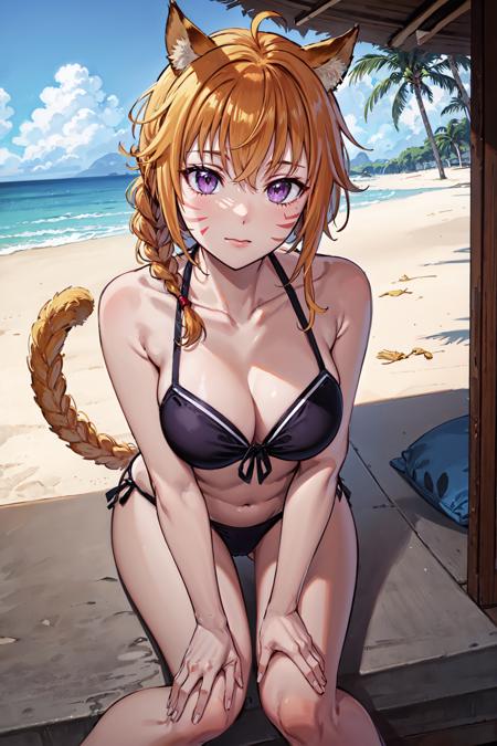 lyre ( Fire Emblem )( 2outfits )