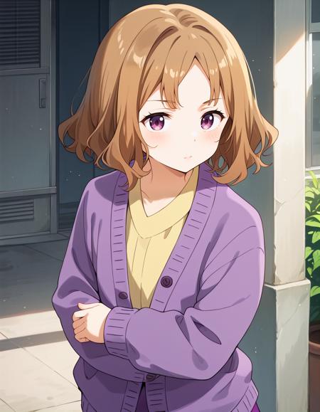 [for illustrious, animagine, pony]甘夏古奈美 Ms. AMANATSU Konami from マケイン(not John Sidney McCain III)版本pony v1.0 (ID: 825981)