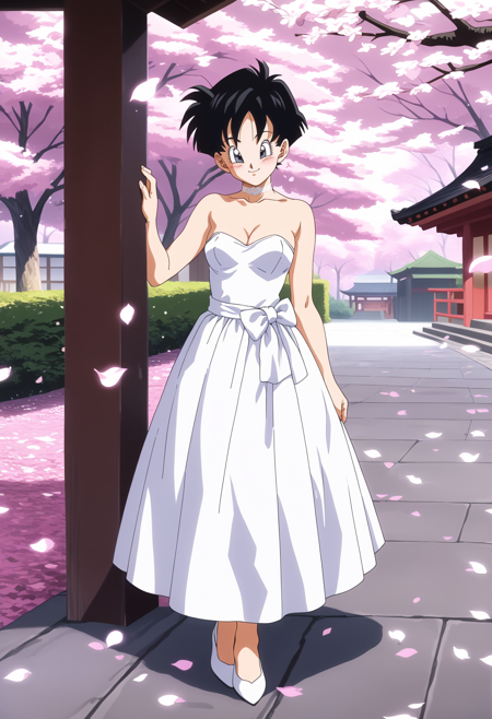 Videl - Dragon Ball Z - PDXL LORA