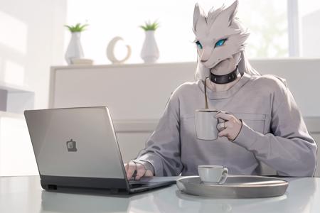 [OLD] Reshiram Lora