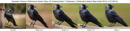 Western jackdaw [multi model]
