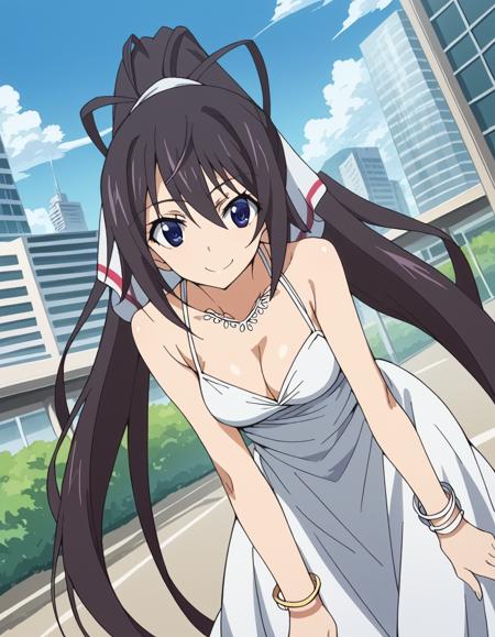 Houki Shinonono (篠ノ之 箒) - Infinite Stratos (IS 〈インフィニット・ストラトス〉)
