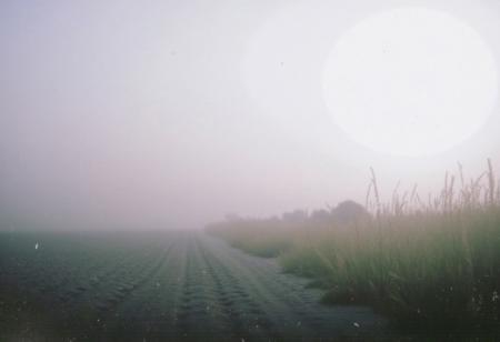 FP100C_FLUX