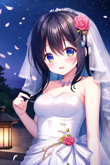 Night Princess【夜の姫君】