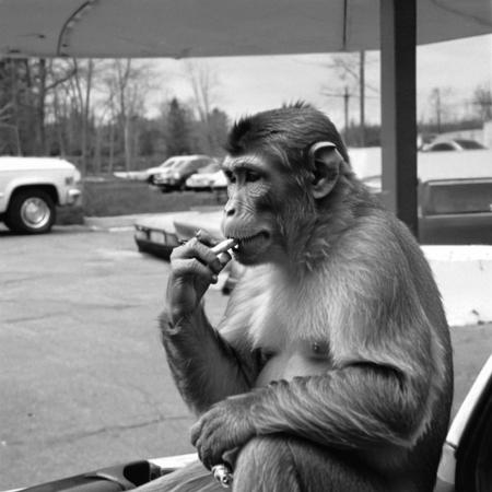 'Clerks' Style