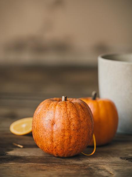 ins style,still life,simple background,简约静物