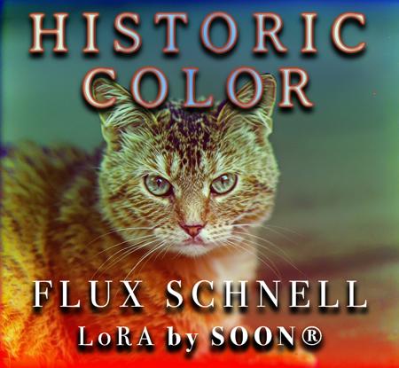 Historic Color Schnell版本v1.0 Kohya_ComfyUi (ID: 871572)
