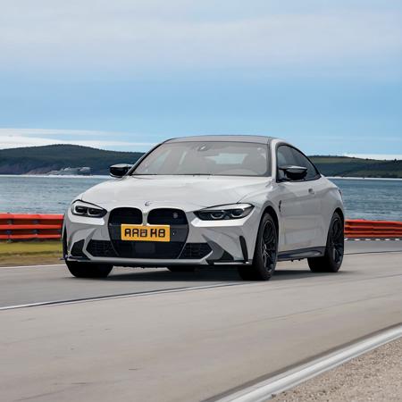 BMWm4版本v1.0 (ID: 387943)