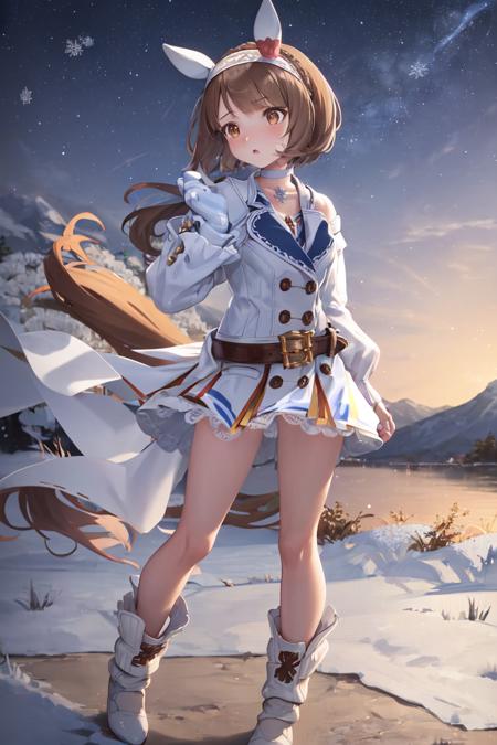 Yukino Bijin (umamusume)版本LoHa (ID: 68498)