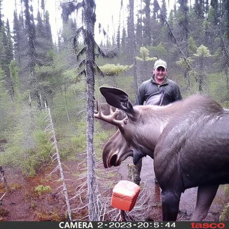 Trailcams footage