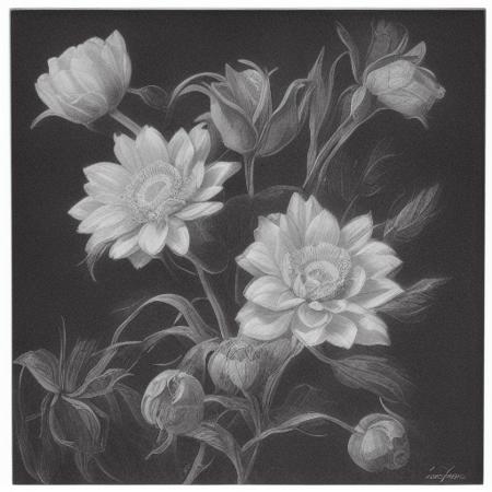 Engraving Style版本v50 (ID: 110236)