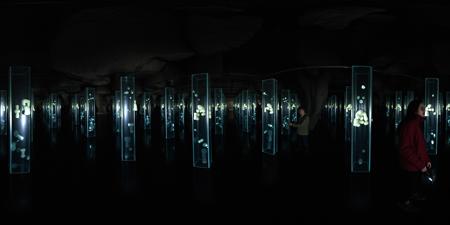 360 panorama [SD1.5 / FLUX]