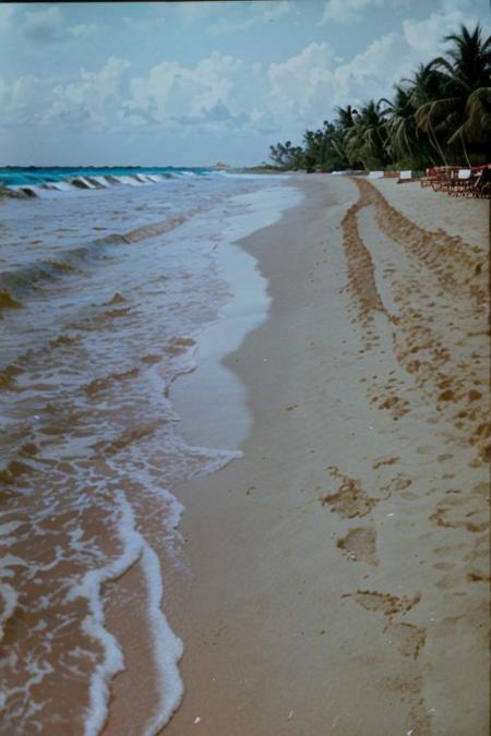 c41_zenit_kodakgold