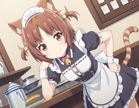 Azuki (アズキ) - Nekopara (ネコぱら)