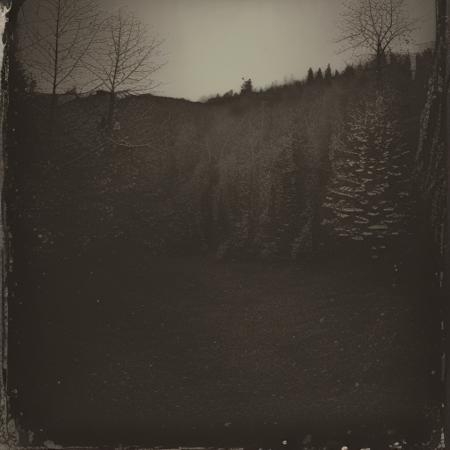 Wet Collodion 1850s版本V1 (ID: 1011356)