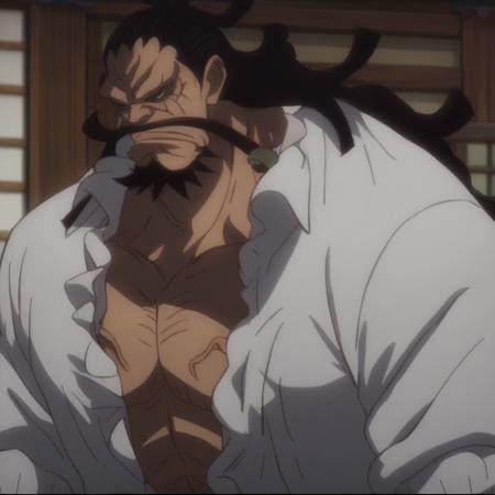 ?‍☠Kaido (M/D) | One Piece!