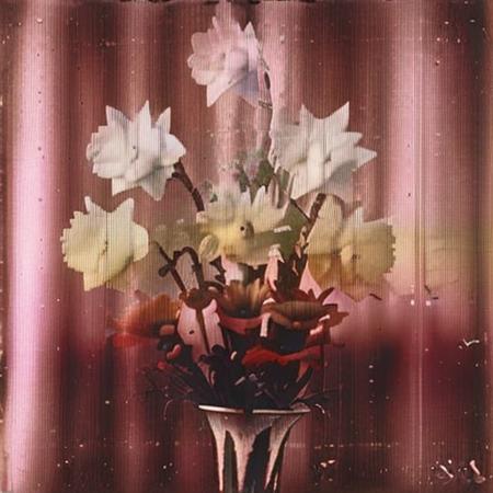 Jolly Process版本V1 (ID: 1100514)