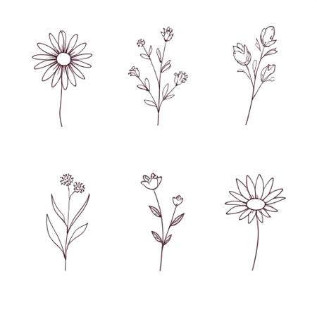 Hand Drawn Flowers