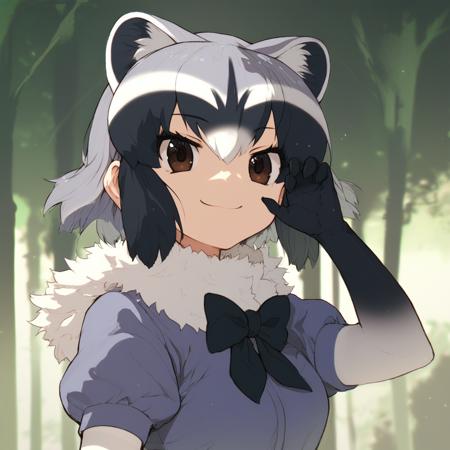 Common Raccoon/Arai-San (Kemono Friends) [Pony]版本V1 (ID: 723231)