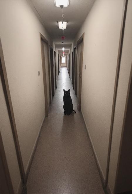 spooky places and spookier toilets