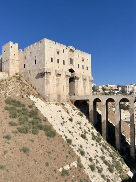 Aleppo citadel general view版本v5.0 (ID: 863654)