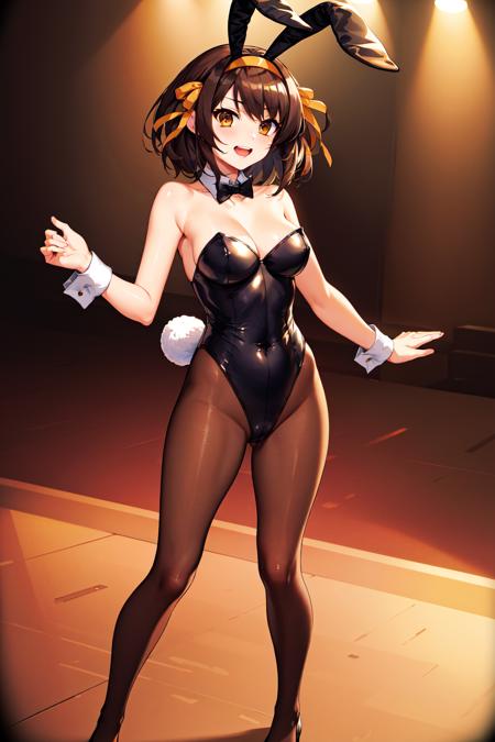 Suzumiya Haruhi 涼宮ハルヒ / Suzumiya Haruhi Series