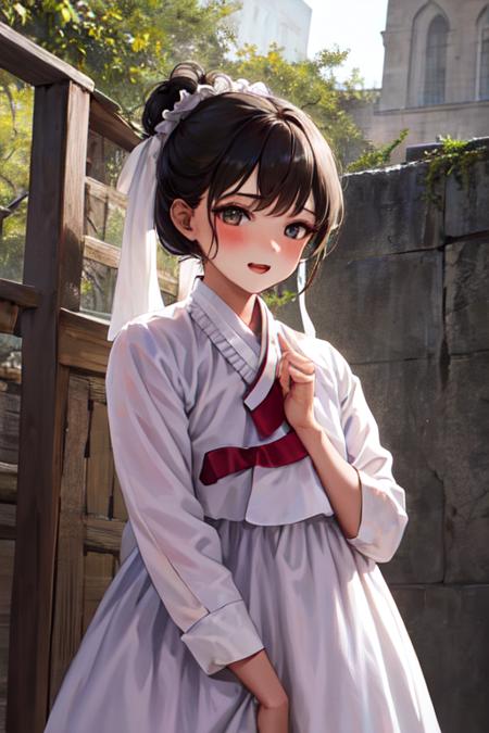 Female Noble Class Hanbok - Korea Clothes
