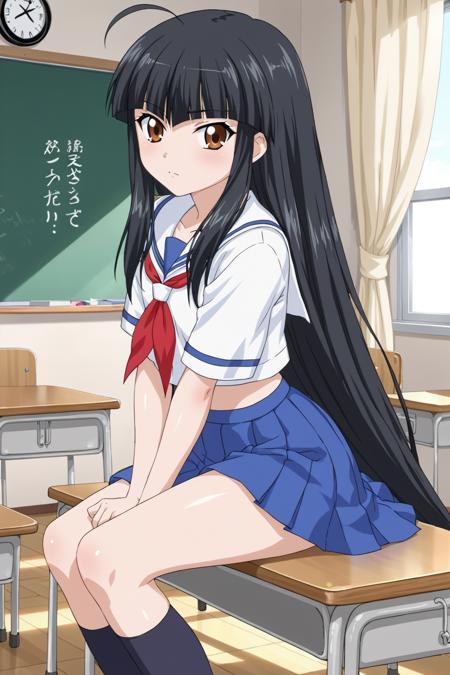 (ikkitousen) choushou shifu/pony