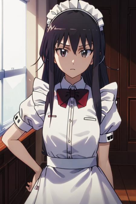 Amakusa Shino (Seitokai Yakuindomo)