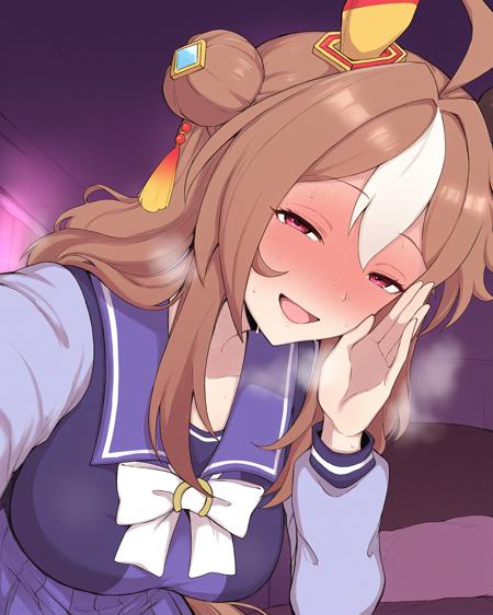 Terasu MC Style (for Illustrious-XL)版本v1.0-EarlyAccess (ID: 1047370)