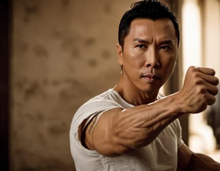 Donnie Yen版本Donnie Yen (ID: 208976)