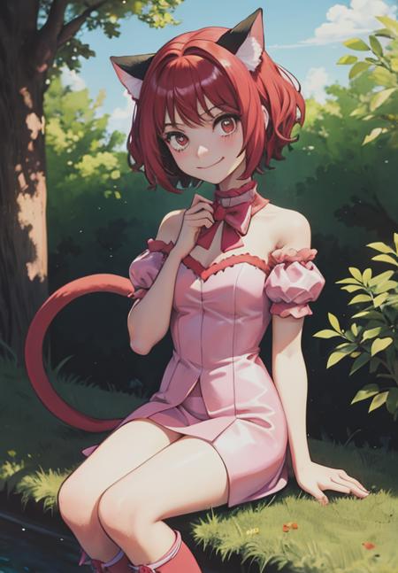 Ichigo Momomiya - Tokyo Mew Mew