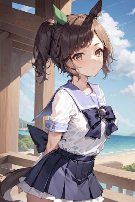 Ines Fujin (umamusume)