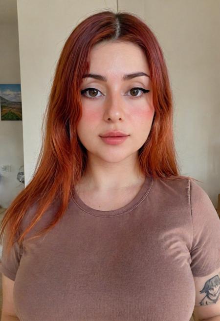 Paulaeal [Twitch Streamer] (LoRA) - SDXL版本SDXL1.0-v1 (ID: 663511)