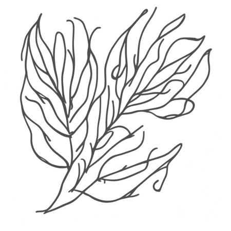 Scribbles 01版本Scribbles 01 (ID: 345666)