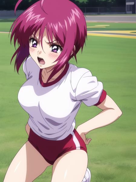 ルナマリア_ホーク　Lunamaria_Hawke (gundam seed)