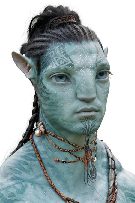 Avatar Visual Dictionary Style - Characters