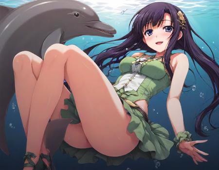 Dolphin 海豚 XL