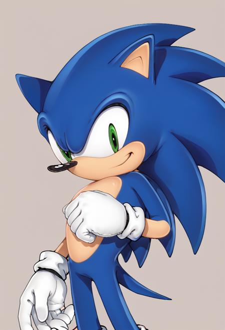 Yuji Uekawa Style (Sonic Adventure/Advance Style) (Pony XL)版本V1 (ID: 660000)