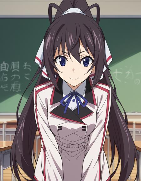 Houki Shinonono (篠ノ之 箒) - Infinite Stratos (IS 〈インフィニット・ストラトス〉)