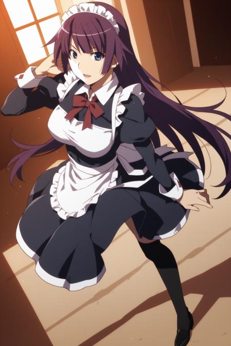 Hitagi Senjougahara (戦場ヶ原ひたぎ) - Monogatari Series (物語シリーズ)