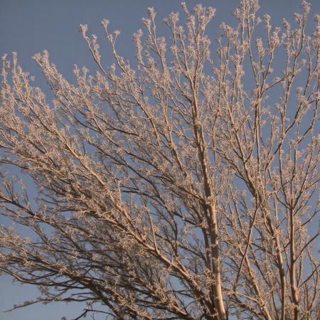 ACLander's Pattern Photography