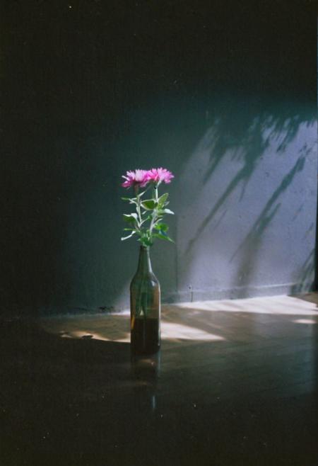 FP100C
