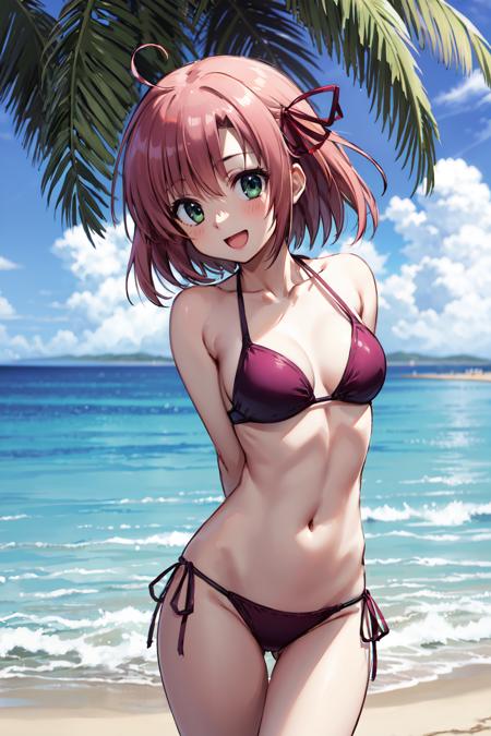 桜野くりむ Sakurano Kurimu/生徒会の一存 Student Council's Discretion