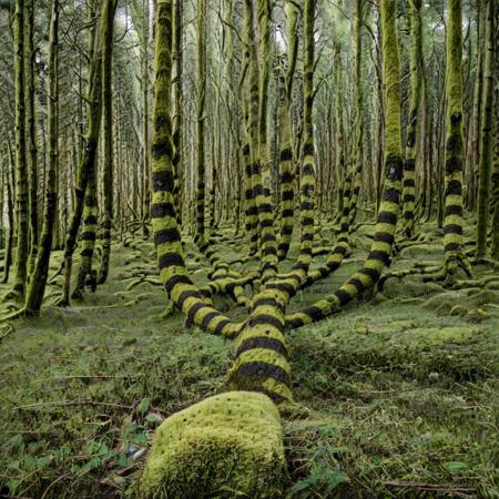 Andy Goldsworthy style nature art - portals, circles, spheres and spirals for SDXL