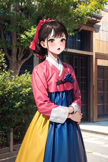 Female Noble Class Hanbok - Korea Clothes
