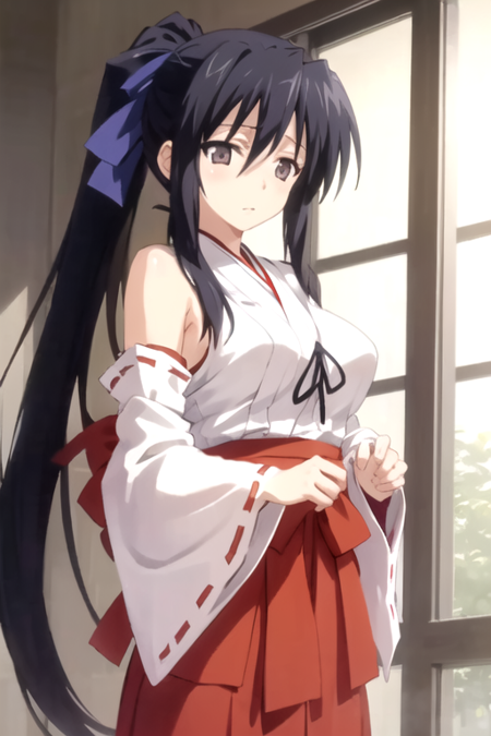 Shuri Himejima (High School DxD)