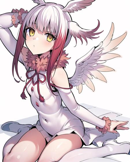 Kemono Friends-朱鹮/Crested ibis