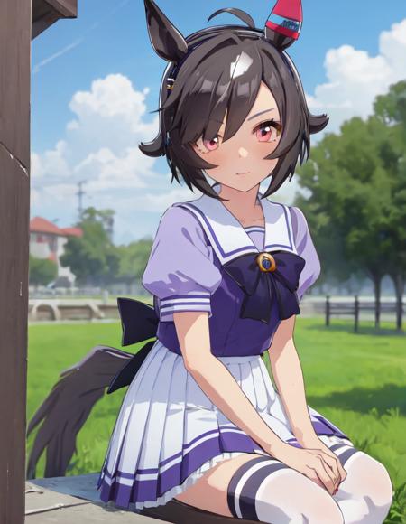 Believe(umamusume)版本SD_v1.0 (ID: 668072)