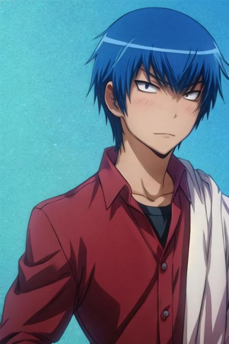 Ryuuji Takasu / Toradora!
